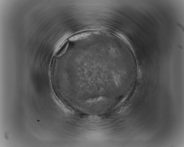 X0000099930907200806061451