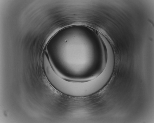 X0000099930908200806061451