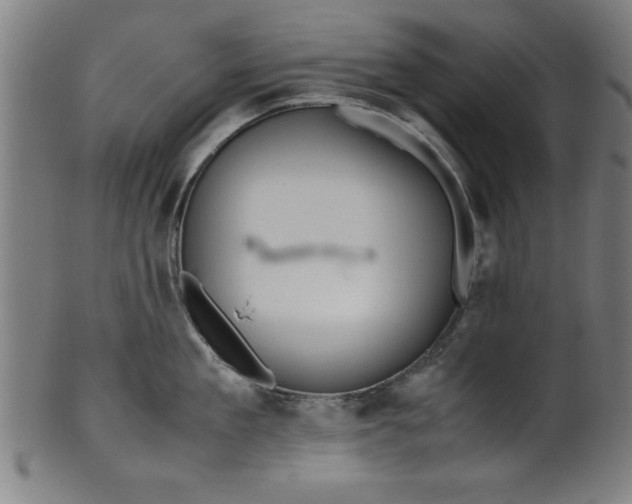 X0000099930909200806061451