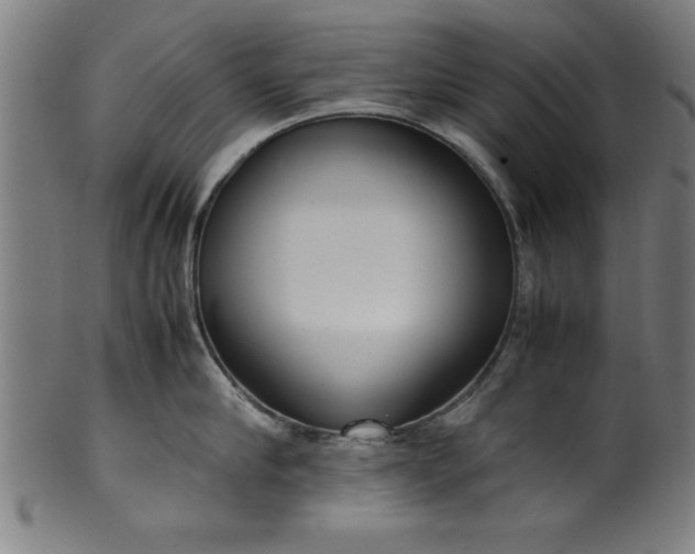 X0000099930910200806061451