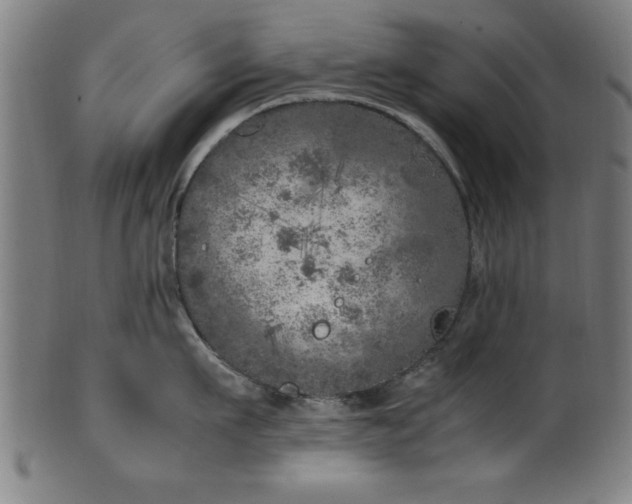 X0000099930911200806061451