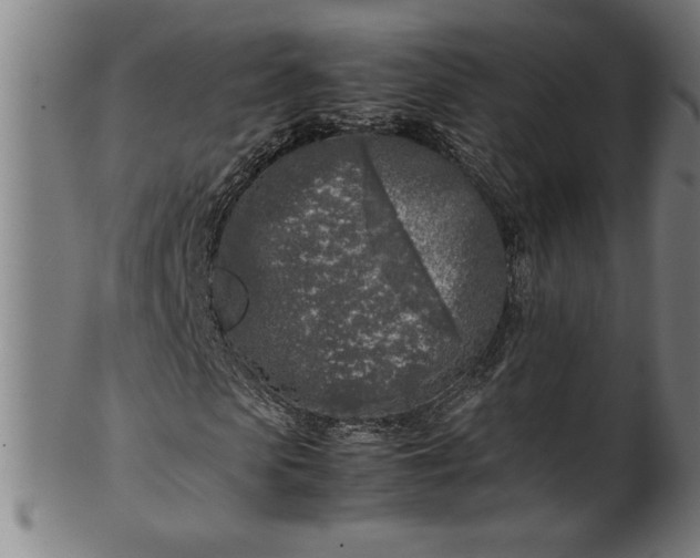 X0000099930913200806061450