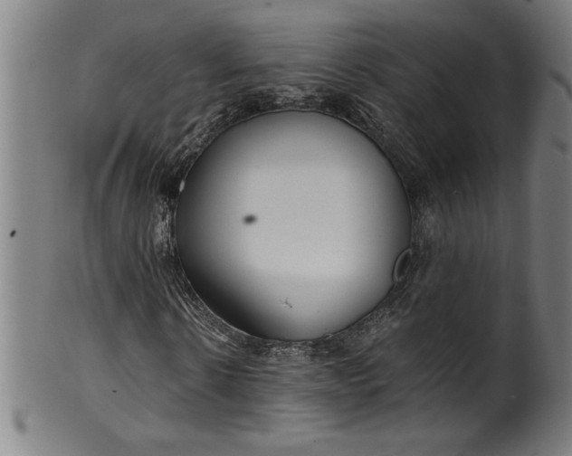 X0000099930914200806061450