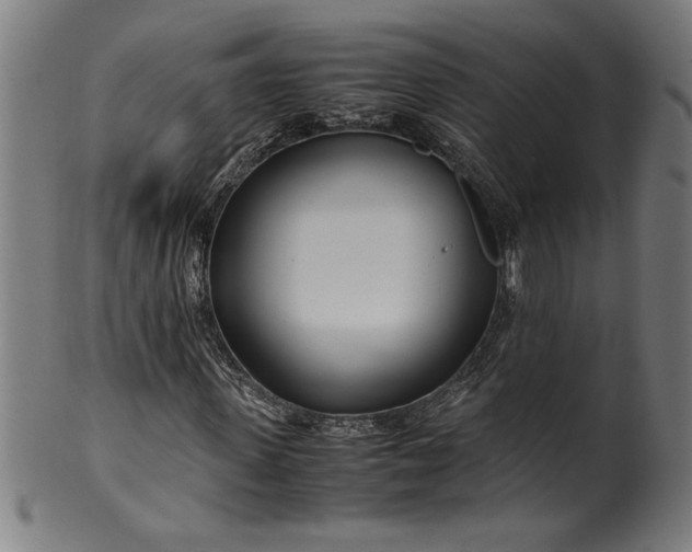 X0000099930915200806061450