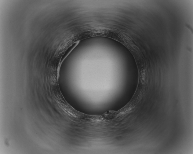 X0000099930916200806061450