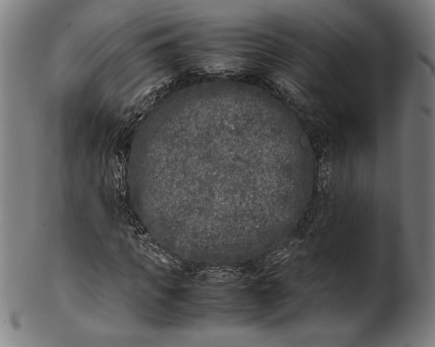 X0000099930917200806061450