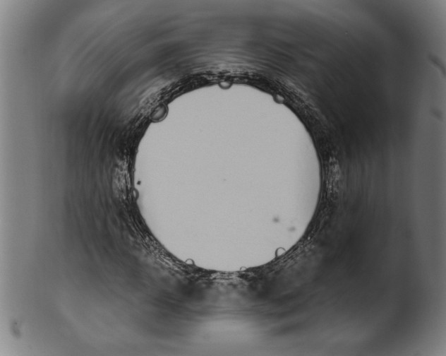 X0000099930918200806061450