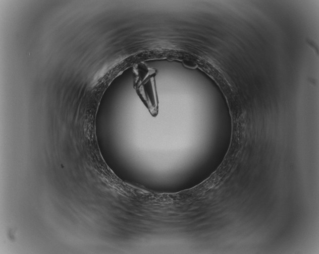 X0000099930919200806061450