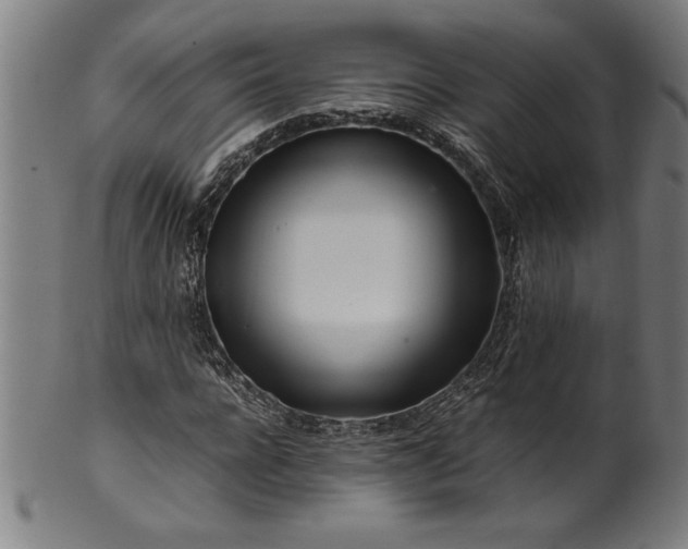 X0000099930920200806061450