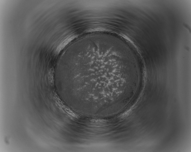 X0000099930921200806061450