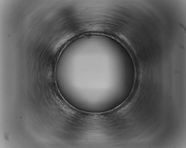 X0000099930922200806061450