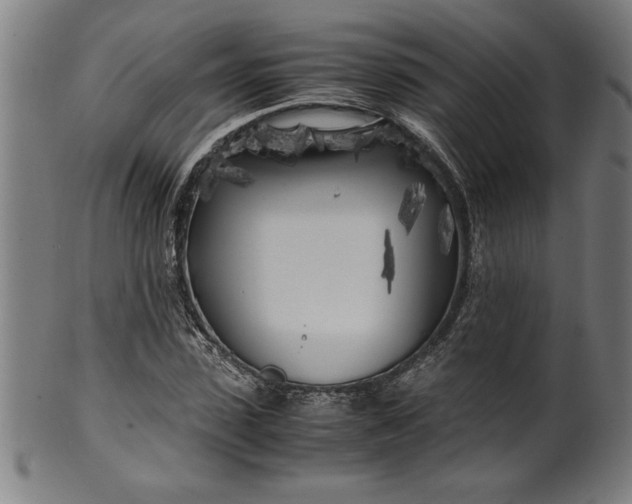 X0000099930923200806061450