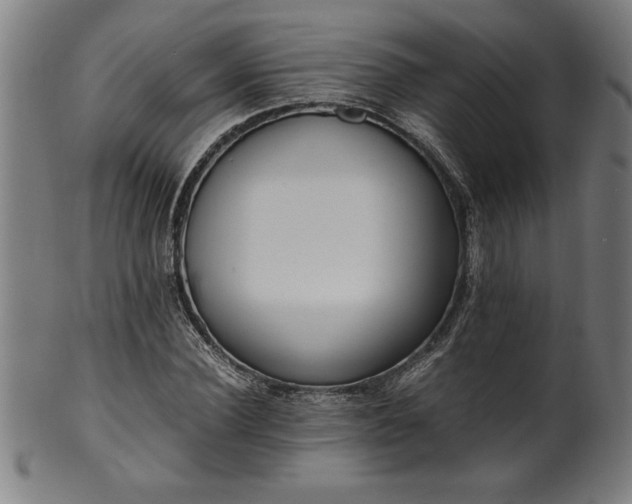 X0000099930924200806061450