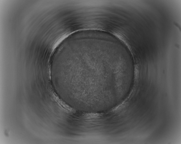 X0000099930925200806061450