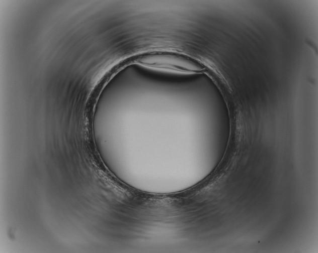 X0000099930926200806061450