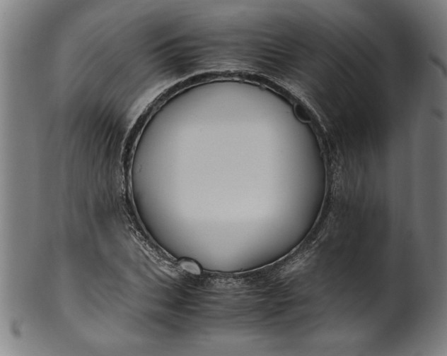 X0000099930927200806061450