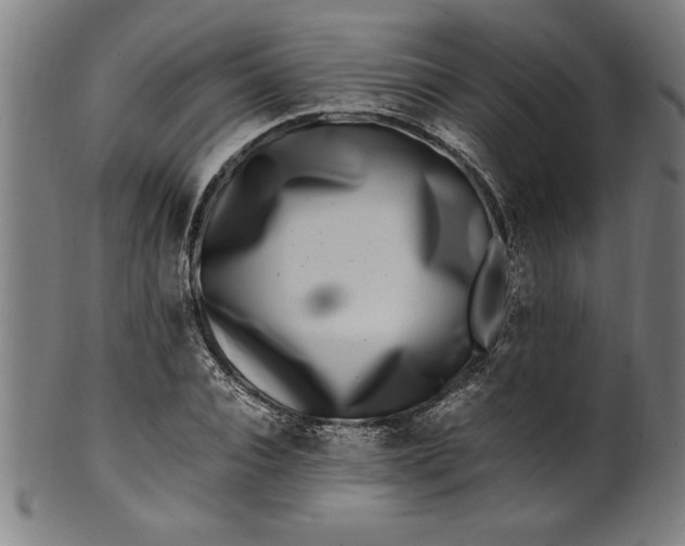 X0000099930928200806061450