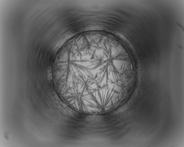 X0000099930929200806061450