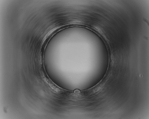 X0000099930931200806061450