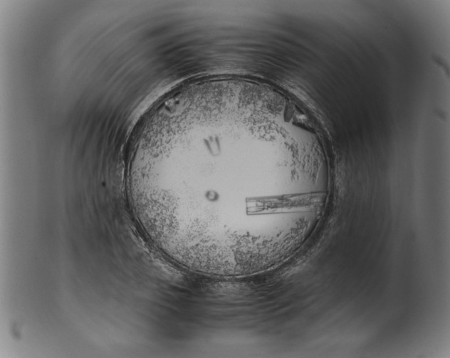 X0000099930933200806061450