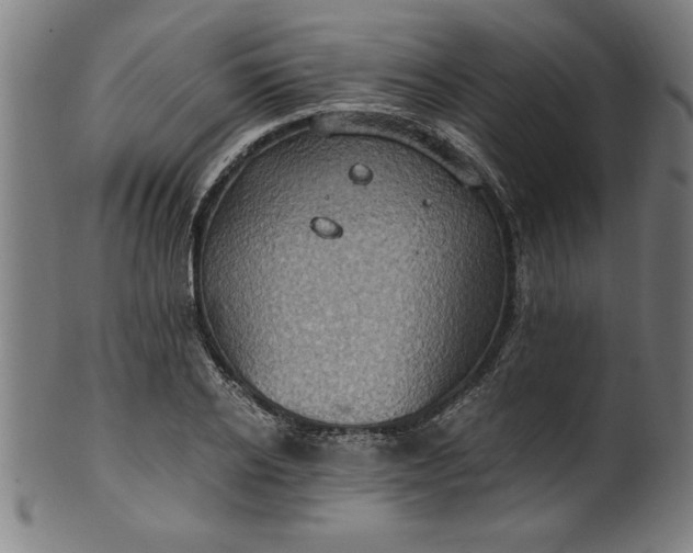 X0000099930934200806061450