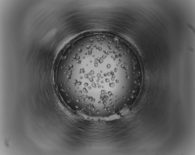 X0000099930935200806061450