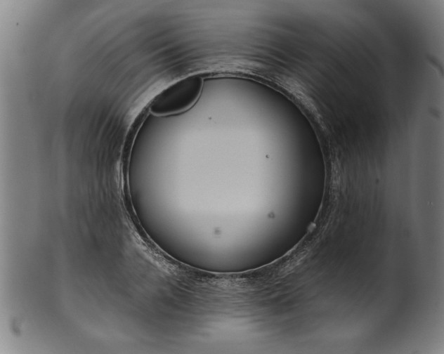 X0000099930936200806061451