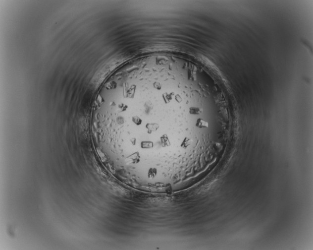 X0000099930937200806061451