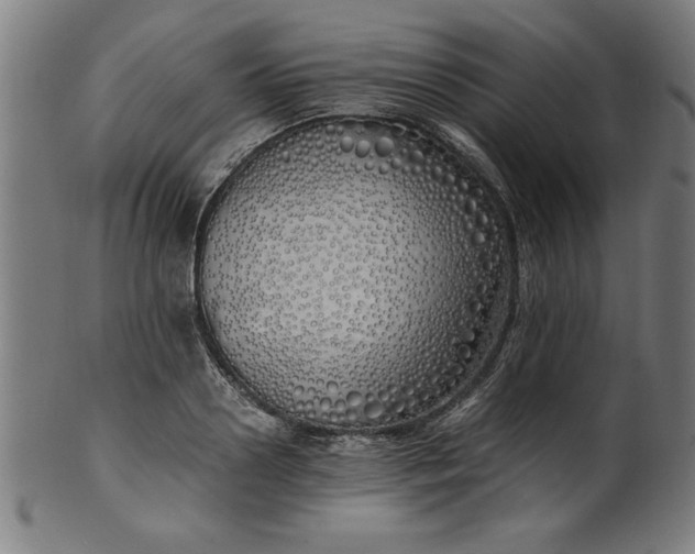 X0000099930938200806061451