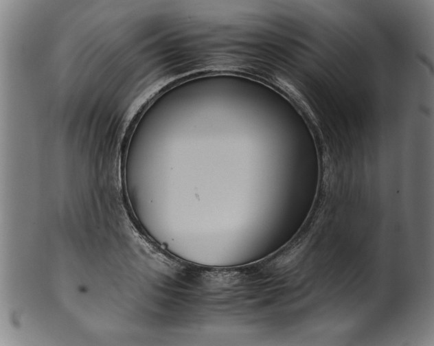 X0000099930939200806061451