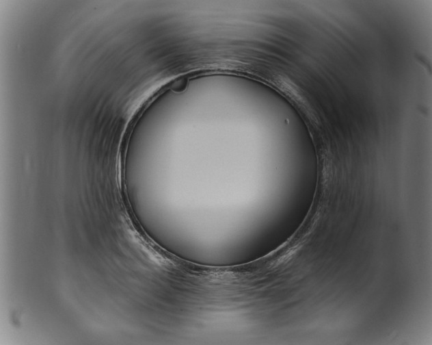 X0000099930940200806061451