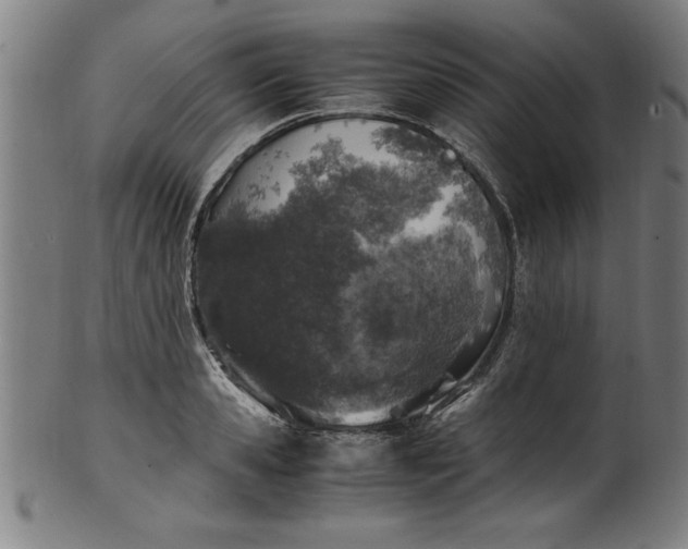 X0000099930941200806061451