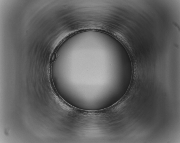 X0000099930942200806061451