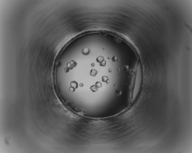 X0000099930943200806061451