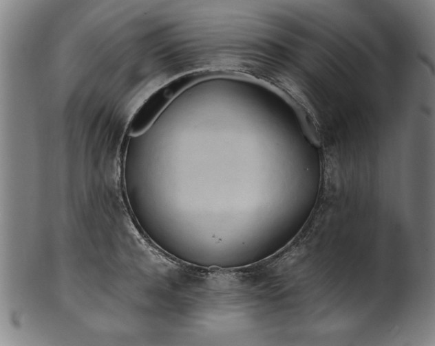 X0000099930944200806061451