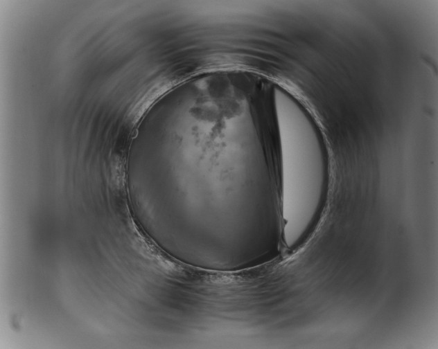 X0000099930945200806061451