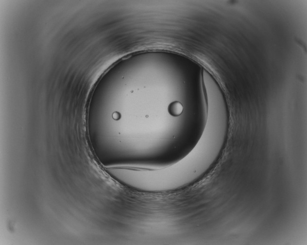 X0000099930948200806061451