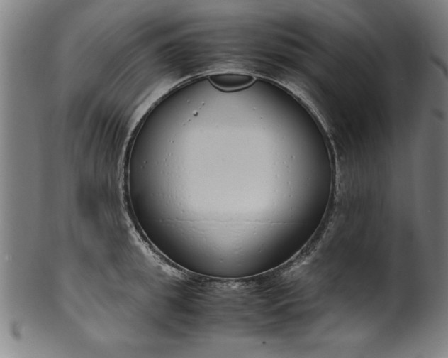 X0000099930949200806061451