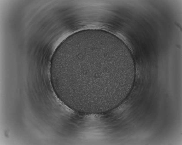 X0000099930950200806061451