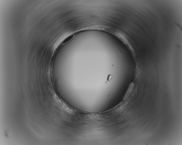 X0000099930952200806061451