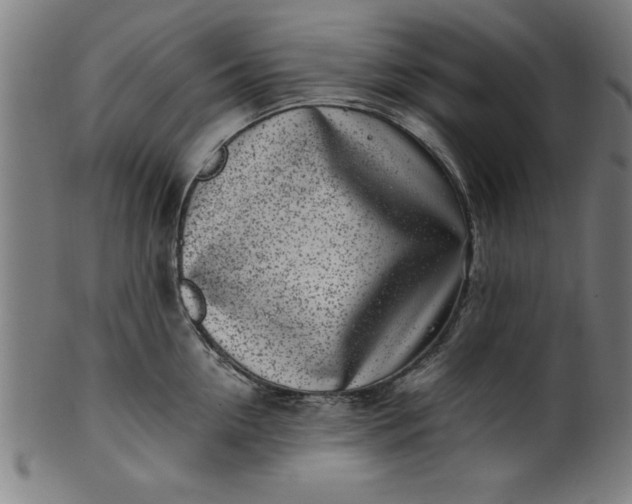 X0000099930954200806061451