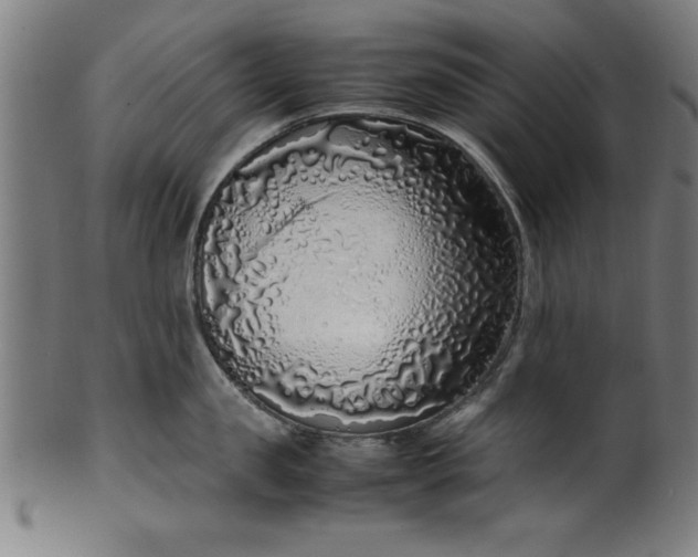 X0000099930957200806061451