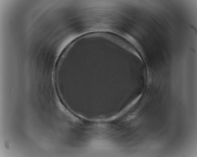 X0000099930958200806061451