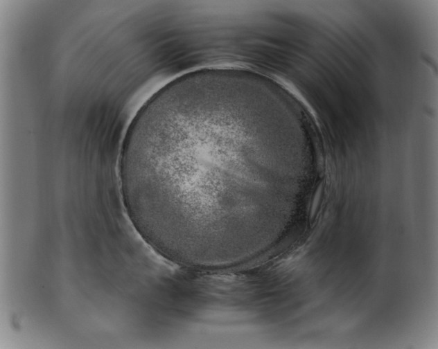 X0000099930959200806061451