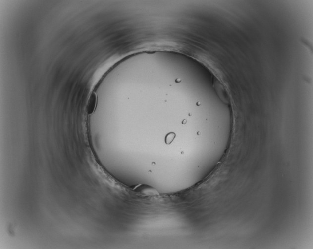 X0000099930960200806061451