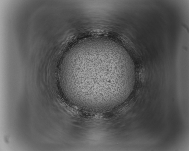 X0000099930961200806061450