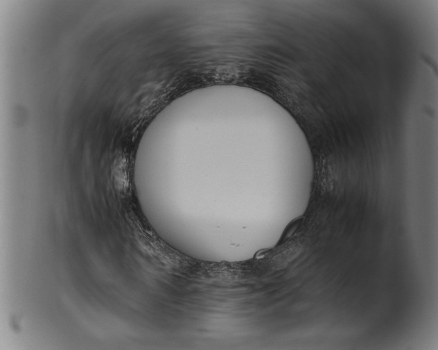 X0000099930962200806061450