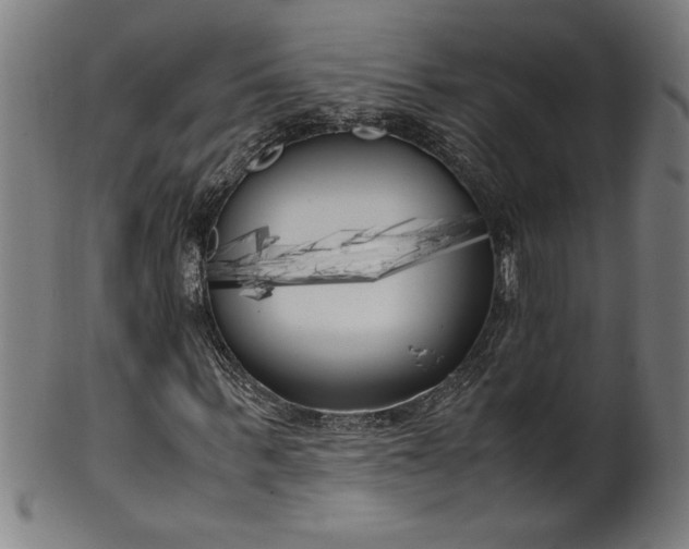 X0000099930963200806061450