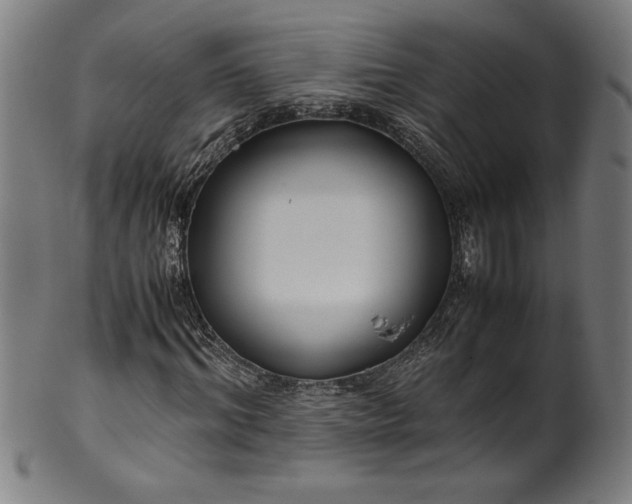 X0000099930964200806061450