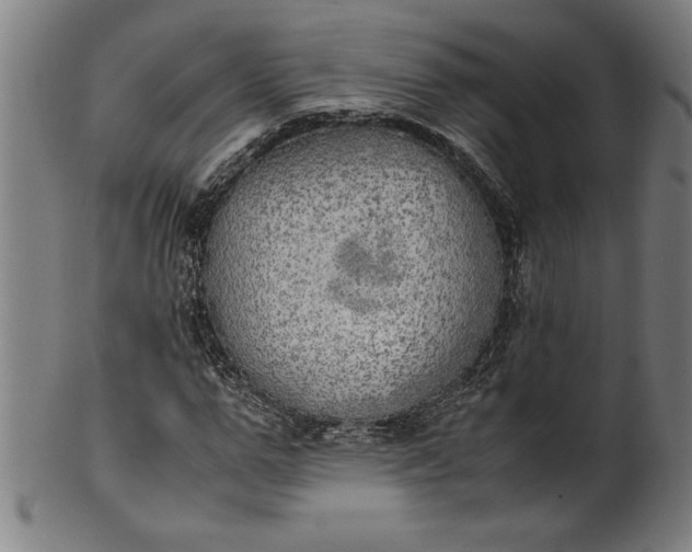 X0000099930967200806061450